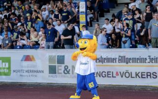 Hildesheim Invaders, German Football Network, GFN, German Football League, AFVD, GFL, DFFL, AFBÖ, AFLE, EFA, ELF, American Football, NFL, Football is family