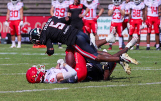 Düsseldorf Panther, Potsdam Royals, American Football, AFVD, American Football Verband Deutschland, GFL, German Football League, GFL2, Regionalliga, German Football Network,