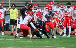 Düsseldorf Panther, Potsdam Royals, American Football, AFVD, American Football Verband Deutschland, GFL, German Football League, GFL2, Regionalliga, German Football Network,