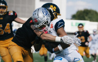 Pforzheim Wilddogs, American Football, AFVD, American Football Verband Deutschland, GFL, German Football League, GFL2, Regionalliga, German Football Network,