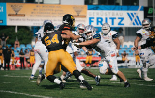 Pforzheim Wilddogs, American Football, AFVD, American Football Verband Deutschland, GFL, German Football League, GFL2, Regionalliga, German Football Network,