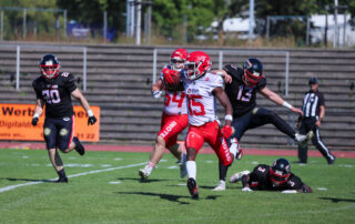 Düsseldorf Panther, Potsdam Royals, American Football, AFVD, American Football Verband Deutschland, GFL, German Football League, GFL2, Regionalliga, German Football Network,