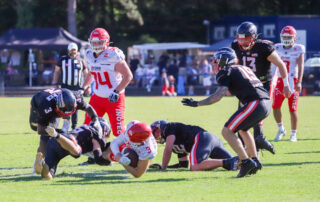 Düsseldorf Panther, Potsdam Royals, American Football, AFVD, American Football Verband Deutschland, GFL, German Football League, GFL2, Regionalliga, German Football Network,