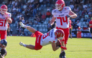 Düsseldorf Panther, Potsdam Royals, American Football, AFVD, American Football Verband Deutschland, GFL, German Football League, GFL2, Regionalliga, German Football Network,