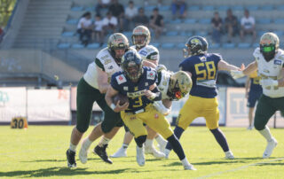 Montabaur Fighting Farmers, Biberach Beavers, American Football, AFVD, American Football Verband Deutschland, GFL, German Football League, GFL2, Regionalliga, German Football Network,