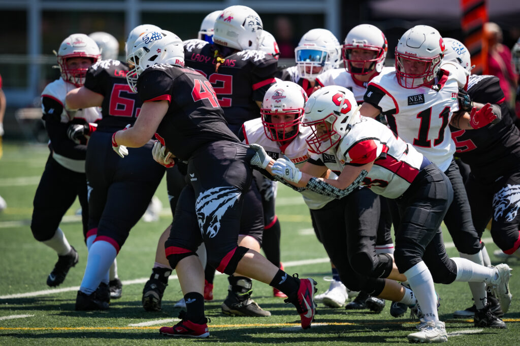 Stuttgart Scorpions, German Football Network, GFN, German Football League, AFVD, GFL, DFFL, AFBÖ, AFLE, EFA, ELF, American Football, NFL, Football is family