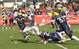 Pforzheim Wilddogs GFL, American Football, AFVD, American Football Verband Deutschland, GFL, German Football League, German Football Network,