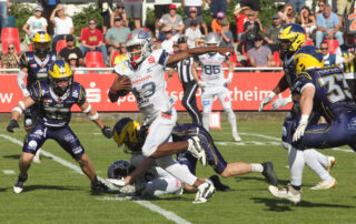 Pforzheim Wilddogs GFL, American Football, AFVD, American Football Verband Deutschland, GFL, German Football League, German Football Network,