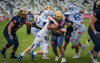 Pforzheim Wilddogs GFL, American Football, AFVD, American Football Verband Deutschland, GFL, German Football League, German Football Network,