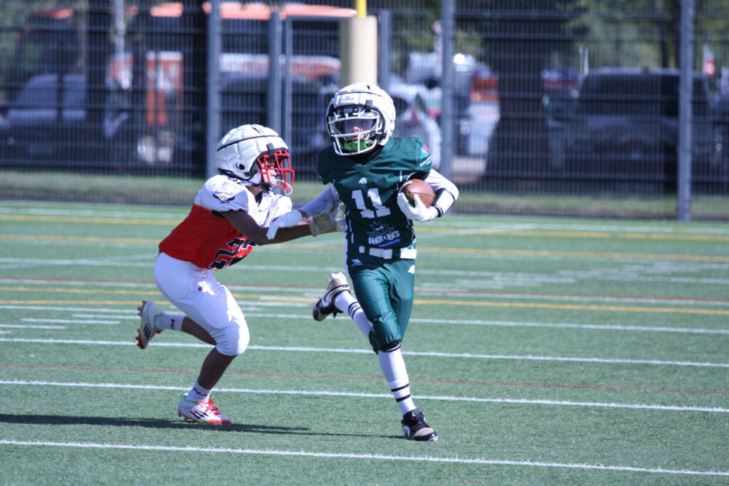 Schwäbisch Hall Unicorns, German Football Network, GFN, German Football League, AFVD, GFL, DFFL, AFBÖ, AFLE, EFA, ELF, American Football, NFL, Football is family