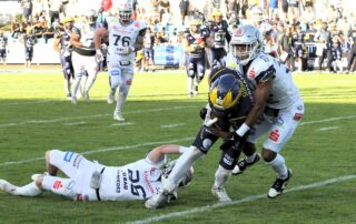 Pforzheim Wilddogs GFL, American Football, AFVD, American Football Verband Deutschland, GFL, German Football League, German Football Network,